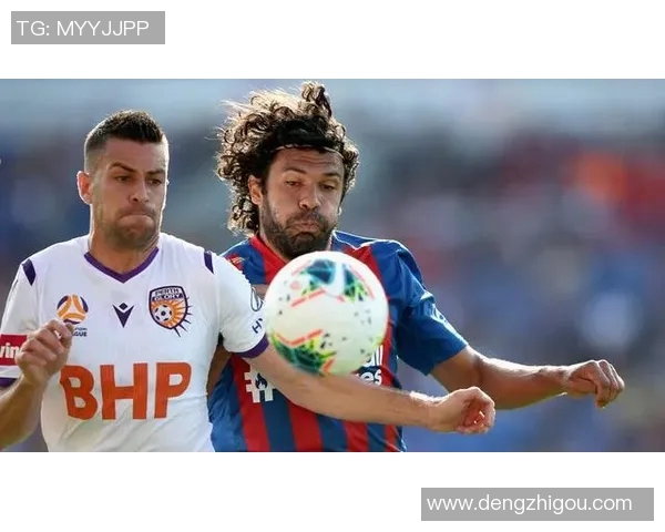 悉尼皇帝与柏斯野猫的精彩对决谁将赢得澳洲足球赛季的荣耀 悉尼皇帝与柏斯野猫的精彩对决谁将赢得澳洲足球赛季的荣耀