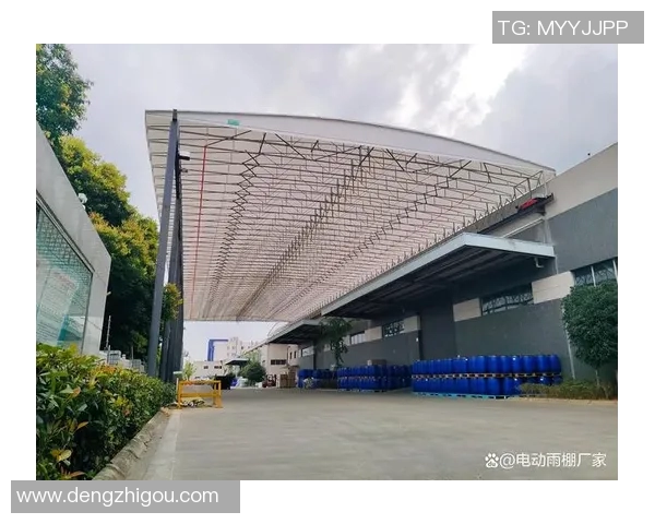 朱荣振：探索科技创新与文化传承的交汇点与未来发展路径