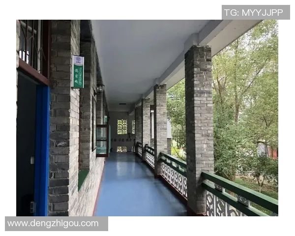 景菡一的成长之路:从初学者到行业翘楚的奋斗故事 景菡一的成长之路:从初学者到行业翘楚的奋斗故事