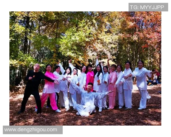 匈牙利与威尔斯对决结果揭晓精彩瞬间回顾与分析