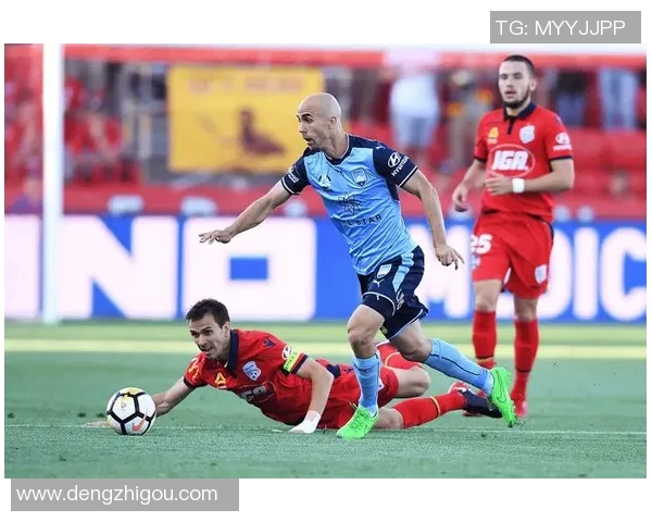 惠灵顿凤凰与悉尼FC激战正酣比分揭晓引发球迷热议