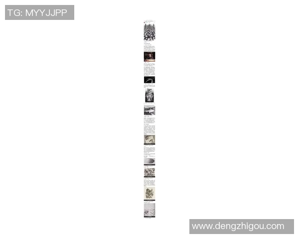 探索索博斯洛伊的历史与文化魅力揭示其在现代社会的独特价值与影响 探索索博斯洛伊的历史与文化魅力揭示其在现代社会的独特价值与影响