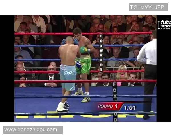 胡安迪亚兹与亚洲高手的巅峰对决引发拳击界热议