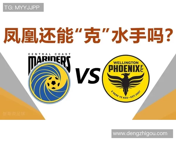 中央海岸与惠灵顿实力分析及对比探讨