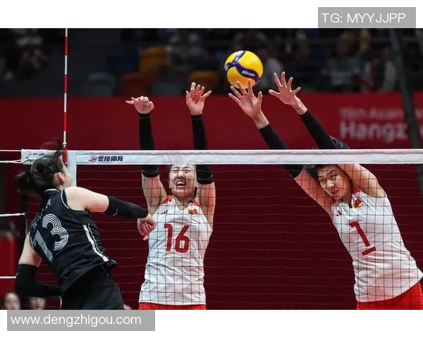 杭州排球队的奋斗历程与荣耀时刻全景纪实 杭州排球队的奋斗历程与荣耀时刻全景纪实